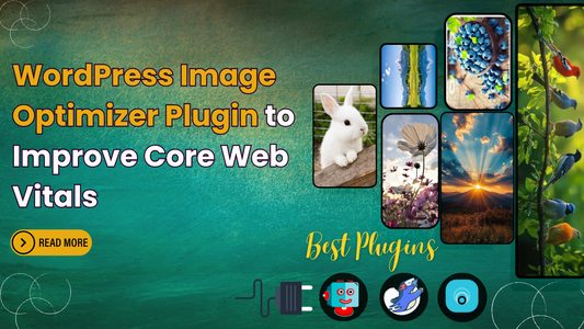 WordPress Image Optimizer Plugin