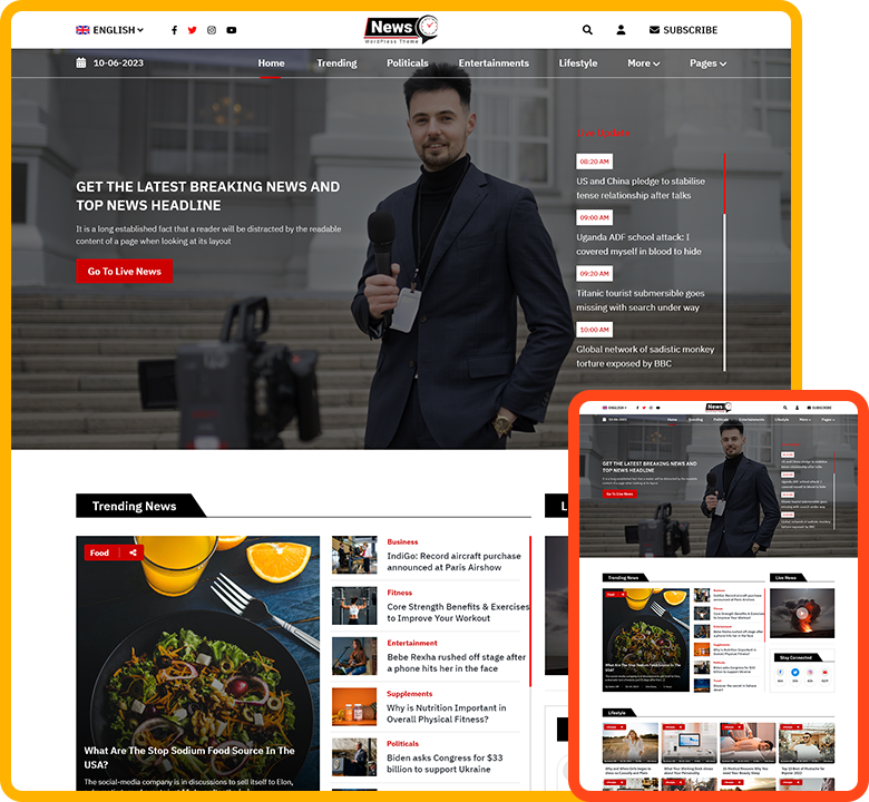 Ignite News Premium Theme Product View 